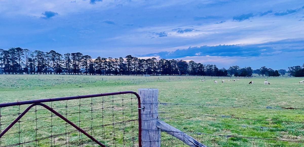 222 Spring Hill Road, Spring Hill, NSW 2800 AUS